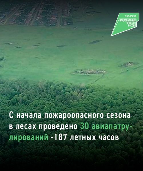 Минсельхоз РТ проводит авиамониторинг с начала пожароопасного сезона в лесах республики