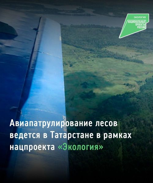 Минсельхоз РТ проводит авиамониторинг с начала пожароопасного сезона в лесах республики