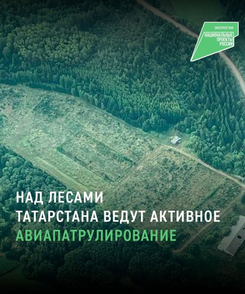 Минсельхоз РТ проводит авиамониторинг с начала пожароопасного сезона в лесах республики