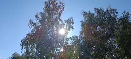 Синоптики прогнозируют в Татарстане сильный ветер и грозы
