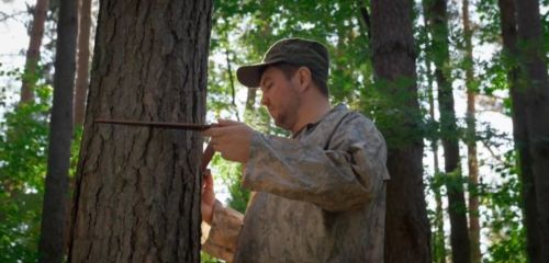 Рустам Минниханов поздравил татарстанских лесников с профессиональным праздником