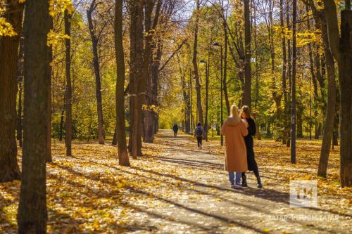 В субботу, 23 сентября, в Бавлах осадков не ожидается