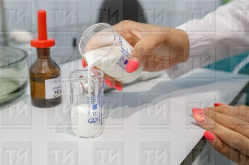 Ютәлдән сөт белән йомырка булыша