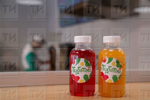 Савыктыручы эчемлекләр