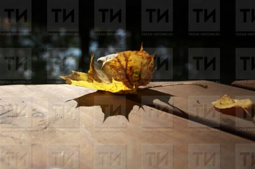 11 октябрьгә  сынамышлар
