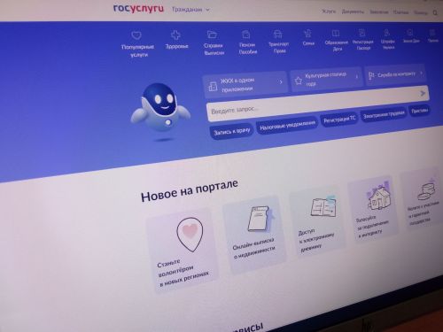 Для многодетных семей заработал сервис «Жизненная ситуация» на портале «Госуслуги»