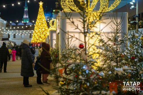 В Татарстане пройдут 11 новогодних ярмарок для самозанятых