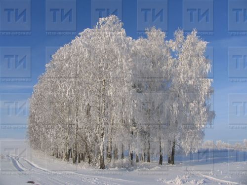 Бәхет, акча килсен өчен нишләргә?