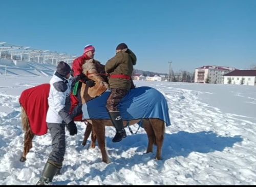 В Бавлах прошёл мастер-класс по куреш на лошадях
