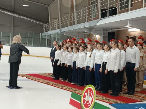 В Бавлах прошёл хоккейный праздник