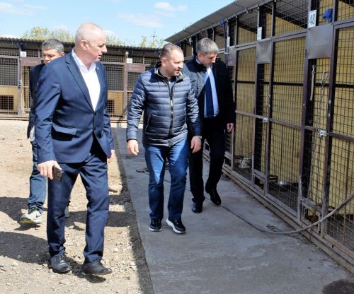 Бавлы посетил главный ветврач Татарстана