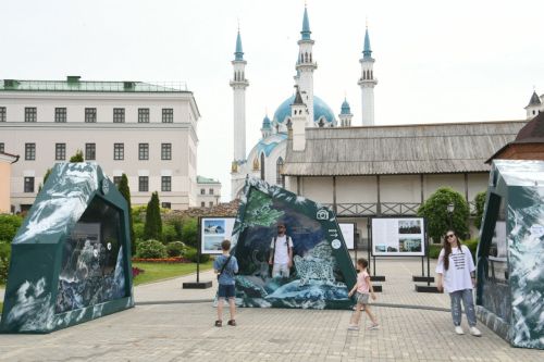В Казани можно посетить интерактивную уличную выставку «Ирбис. Кошка-невидимка»