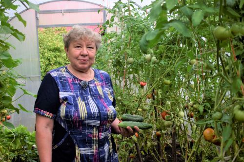 Бавлинка Гузалия Гиниятуллина: «Работа в огороде начинается с раннего утра»