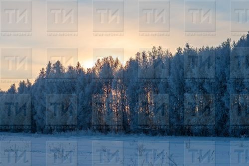17 гыйнварга сынамышлар