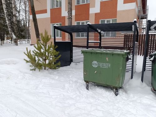 Бавлинцев просят правильно утилизировать новогодние ели