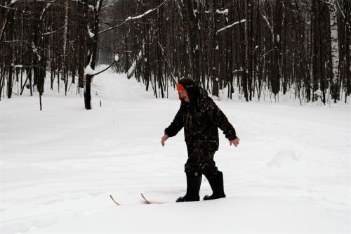 В Бавлинском районе пересчитают диких зверей и птиц
