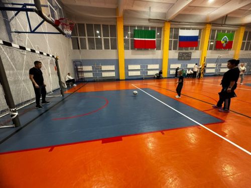 В Бавлинском районе  отцы и дети сразились за значки ГТО