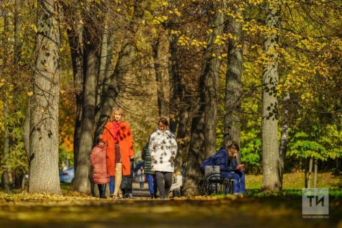 15 ноябрьгә сынамышлар