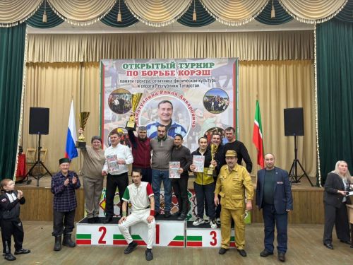 Бавлинские борцы — в призёрах турнира памяти героя