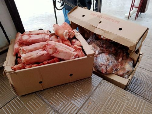 В Бавлах состоялась выставка кошек