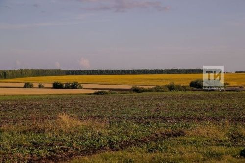 В Татарстане в этом году планируется исследовать около 400 геодезических точек