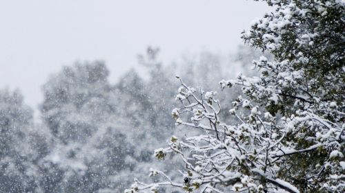 27 февральгә сынамышлар