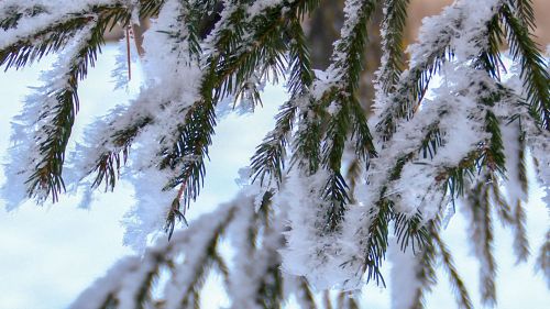 28 февральгә сынамышлар