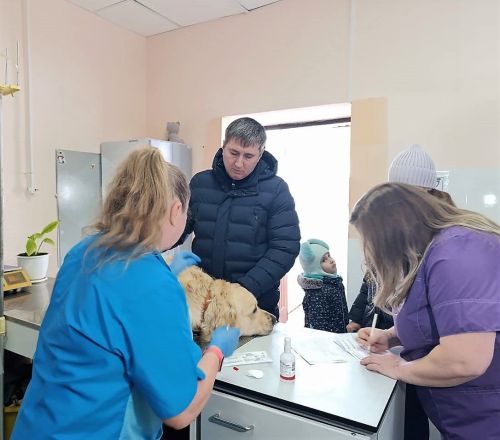 Глава Бавлинского района зарегистрировал свою собаку