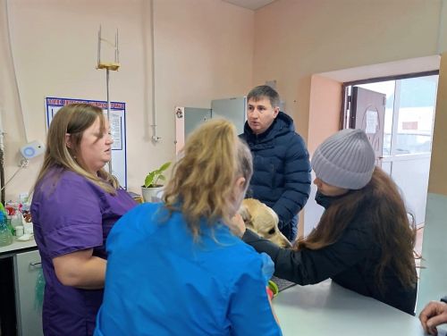 Глава Бавлинского района зарегистрировал свою собаку