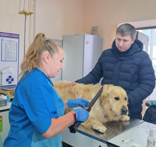 Глава Бавлинского района зарегистрировал свою собаку