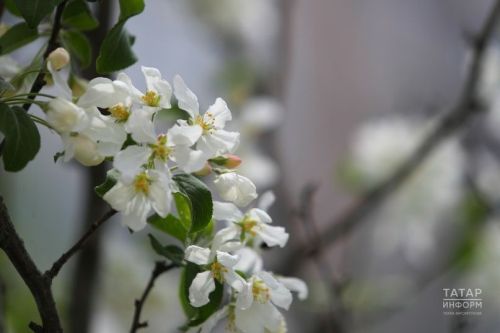 Весеннее равноденствие: традиции, приметы и советы для этого дня
