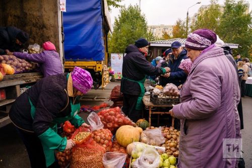 Ярмарки в Татарстане: фермеры реализовали продукцию на 335 миллионов рублей