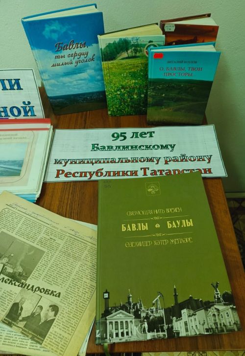 В Александровке прошла встреча, посвящённая юбилею Бавлинского района