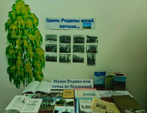 В Александровке прошла встреча, посвящённая юбилею Бавлинского района