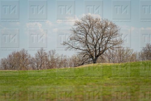 22 апрельгә сынамышлар