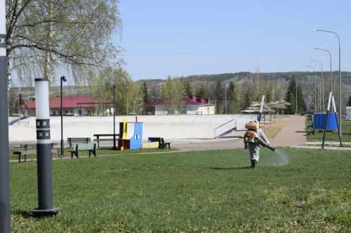Парки и зоны отдыха Бавлинского района обрабатывают от клещей