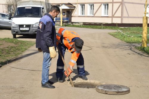 Салфетки, огурцы, котята и зубные протезы