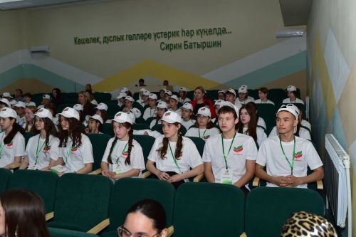 Бавлинские волонтёры получили заряд на новые добрые дела
