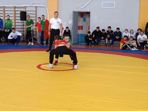 В Бавлах - праздник спорта и культуры