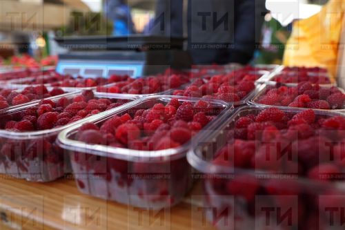 Кура җиләген кулланып кал