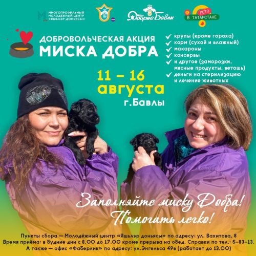 В Бавлах стартовала акция по сбора помощи бездомным животным
