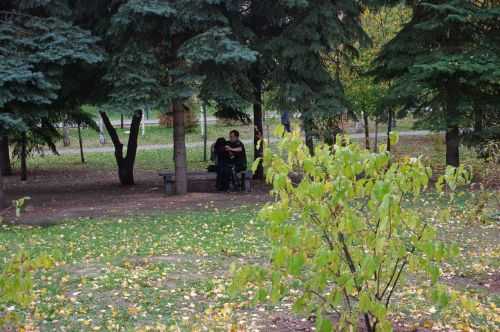 В казанских парках появилось более 200 зон открытого бесплатного интернета