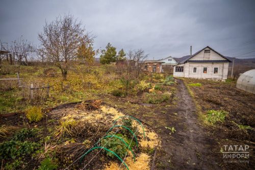 Как правильно подготовить сад и огород к зимовке