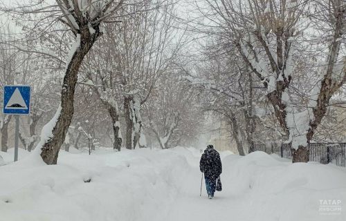 Прогноз погоды: В Бавлах сегодня облачно и влажно
