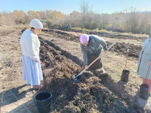 Исергәптә “Истәлек бакчасы” барлыкка килде