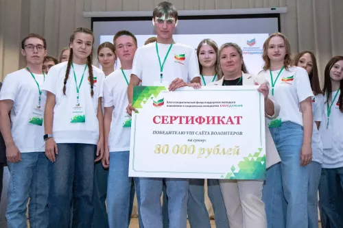Бавлинские волонтёры выиграли грант на реализацию социального проекта