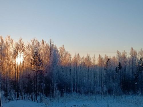 Прогноз погоды в Бавлах на 4 февраля: облачно и похолодание