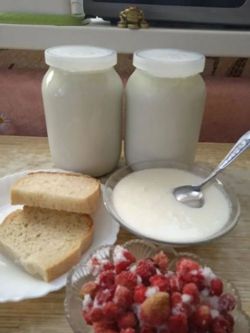 Баулы хуҗабикәләренә катык ясау ысулын исләренә төшерәбез
