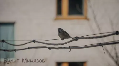 На дорогах Бавлинского района сохраняется гололедица