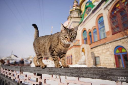 В Татарстане изменится погода: прекращение осадков и потепление